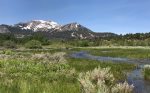 Mammoth Lodging Sunrise 1- Scenic Picture of Mammoth Mountain from Meadow